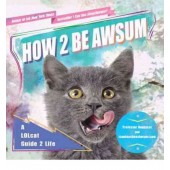 How 2 Be Awsum