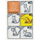 The Cutest Sneeze in the World - 30 Cat Postcards