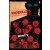 100 Bullets #12 - Dirty