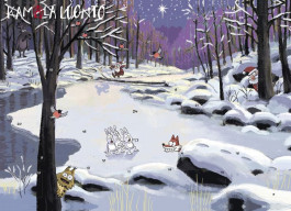 Kamala luonto adventtikalenteri - Revontulet
