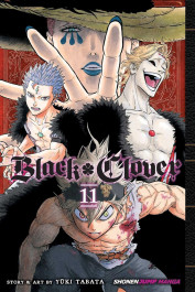 Black Clover 11 (K)