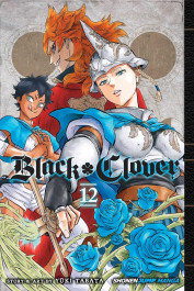 Black Clover 12 (K)