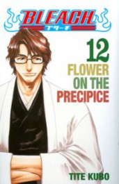 Bleach 12