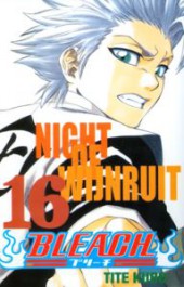 Bleach 16