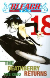 Bleach 18