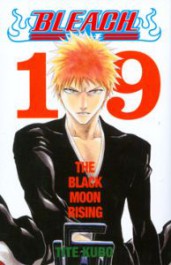 Bleach 19