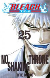 Bleach 25