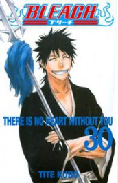 Bleach 30