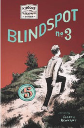 Blindspot #3