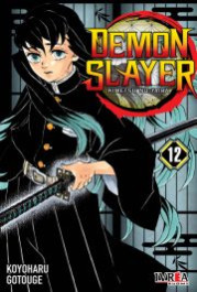 Demon Slayer 12