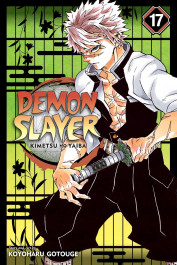 Demon Slayer - Kimetsu No Yaiba 17