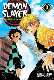 Demon Slayer - Kimetsu No Yaiba 3