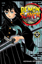 Demon Slayer - Kimetsu No Yaiba 12