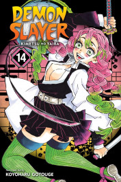 Demon Slayer - Kimetsu No Yaiba 14