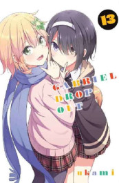Gabriel Dropout 13