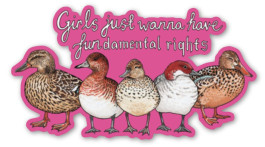 Girls just wanna have fundamental rights -lintutarra
