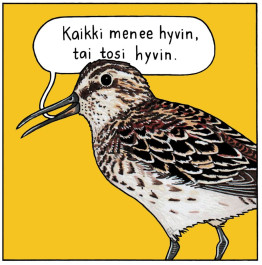Kaikki menee hyvin, tai tosi hyvin -lintutarra