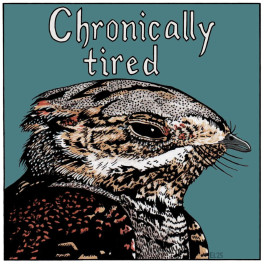 Chronically tired -lintutarra