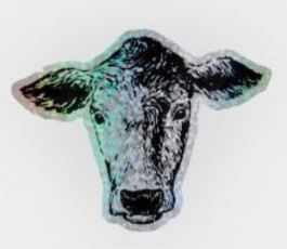 Sateenkaarilehmä-tarra