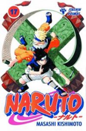 Naruto 17