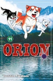 Orion 11