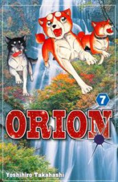 Orion 7
