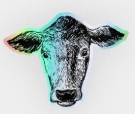 Sateenkaarilehmä-hologrammitarra