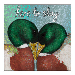 Here to stay -lintutarra