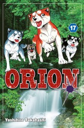 Orion 17
