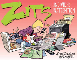 Zits - Undivided Inattention