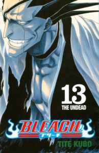 Bleach 13