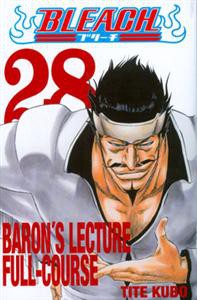 Bleach 28