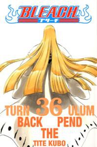 Bleach 36