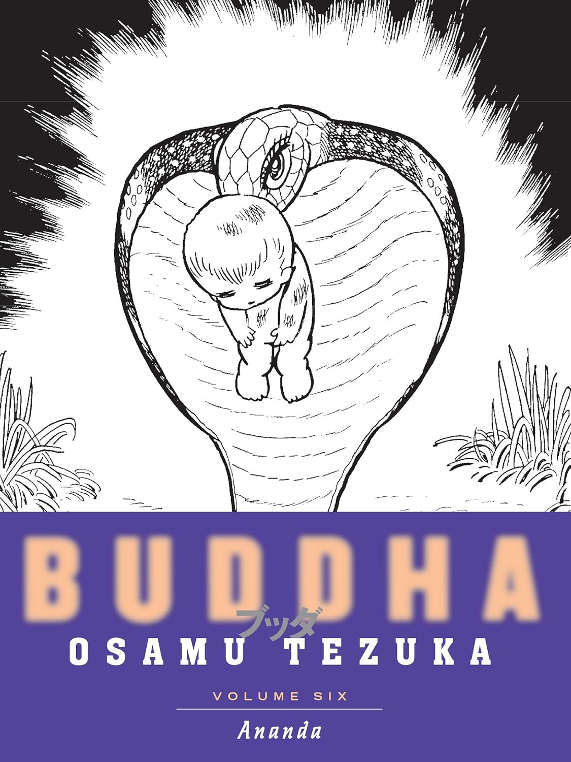 Buddha 6 - Ananda