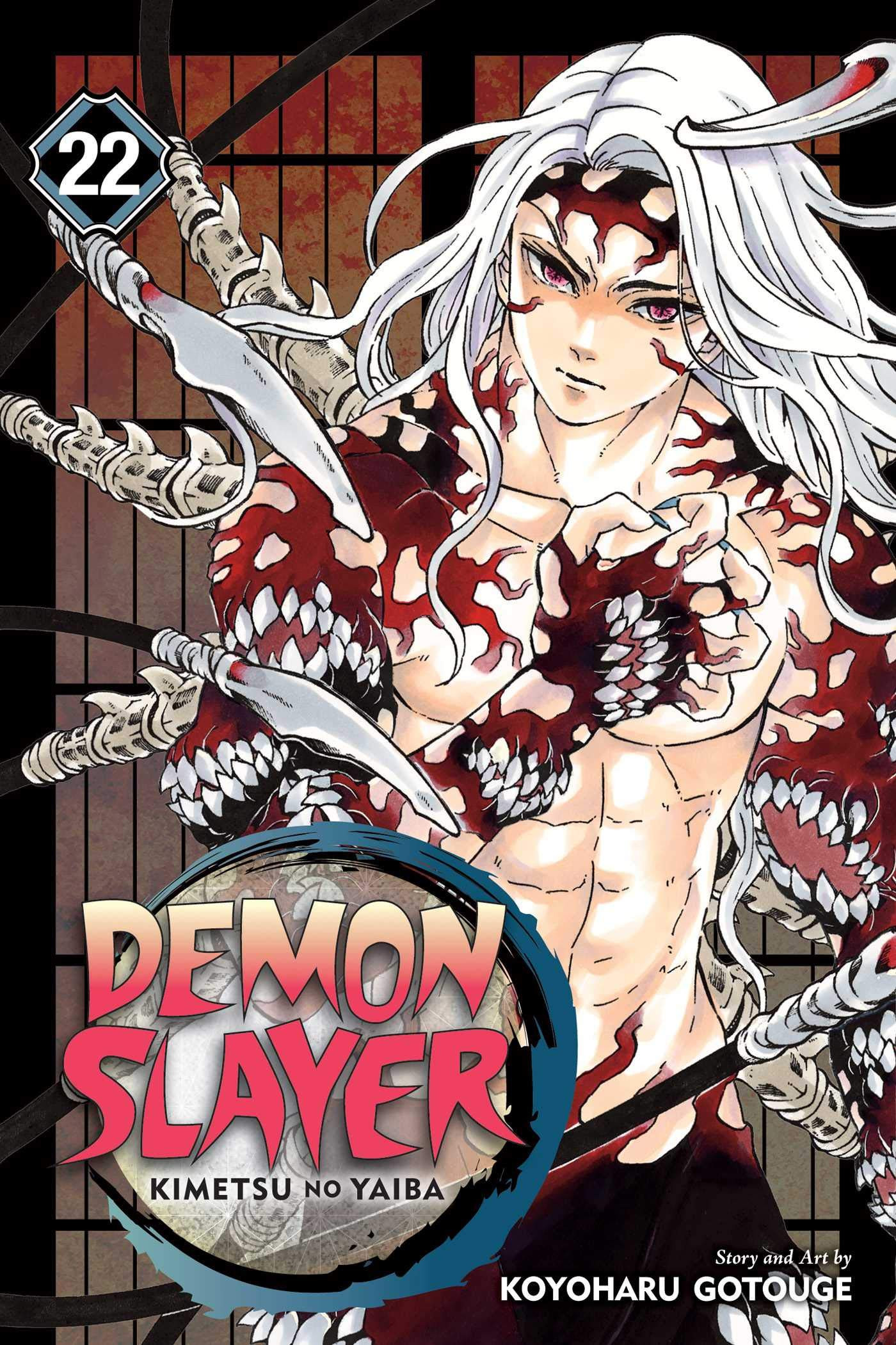 Demon Slayer - Kimetsu No Yaiba 22