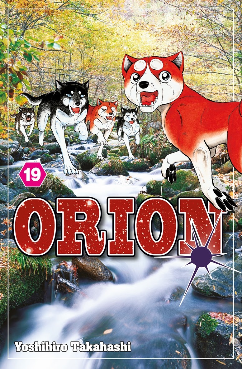 Orion 19