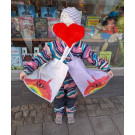 Kissasateenkaari-kassi