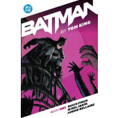 Batman by Tom King Book One