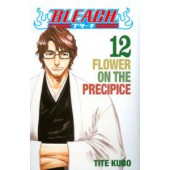 Bleach 12