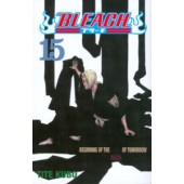 Bleach 15