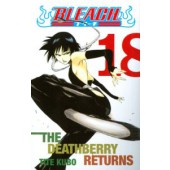 Bleach 18