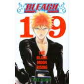 Bleach 19