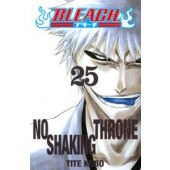 Bleach 25