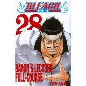 Bleach 28