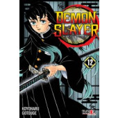 Demon Slayer 12