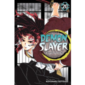 Demon Slayer - Kimetsu No Yaiba 20