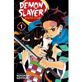 Demon Slayer - Kimetsu No Yaiba 1