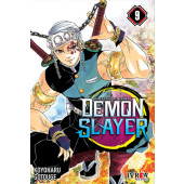 Demon Slayer 9