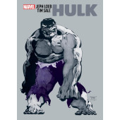 Hulk Gallery Edition