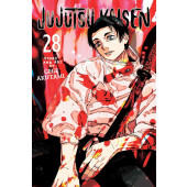 Jujutsu Kaisen 28